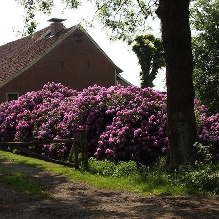 Huis Eedingh Onstwedde Bagian luar foto