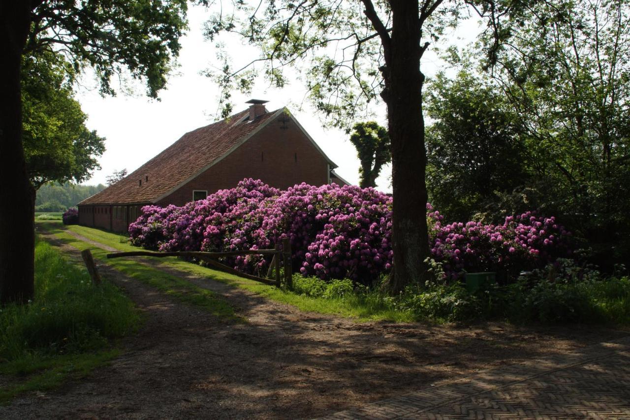 Huis Eedingh Onstwedde Bagian luar foto